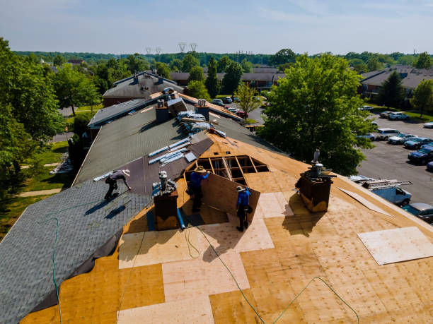 Quick and Trustworthy Emergency Roof Repair Services in Milton, DE