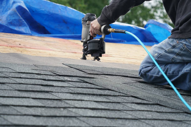 Roof Gutter Cleaning in Milton, DE