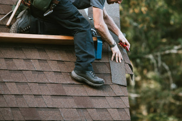 Best Storm Damage Roof Repair  in Milton, DE